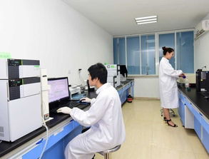 旬陽(yáng)初 高中生學(xué)子及家長(zhǎng)注意啦 西北地區(qū)全日制消防工程專業(yè),超高薪就業(yè)特招開始啦